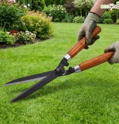 Grass trimming & edging
